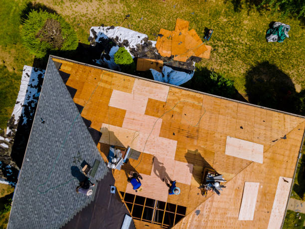 Best Roof Gutter Cleaning  in Toquerville, UT