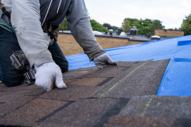 Roof Waterproofing Services in Toquerville, UT